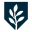 Rosedale Bible College Logo
