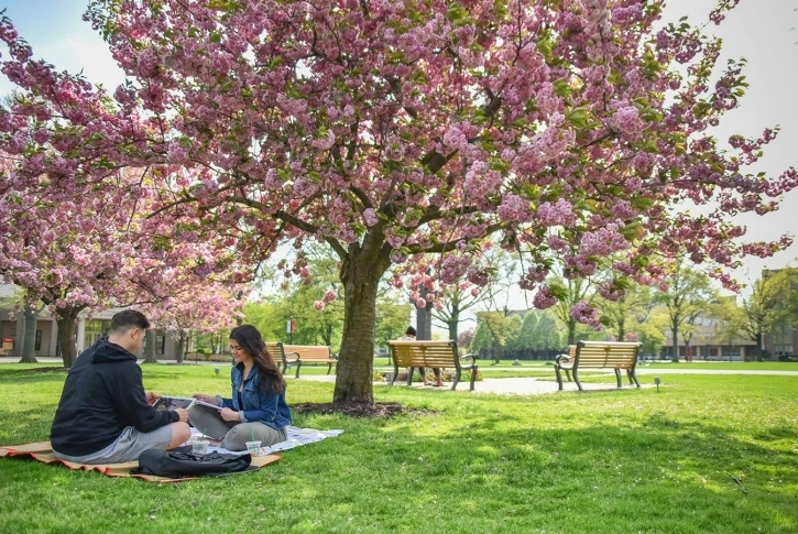 St. John's University learning environment