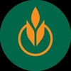 The Culinary Institute of America Logo