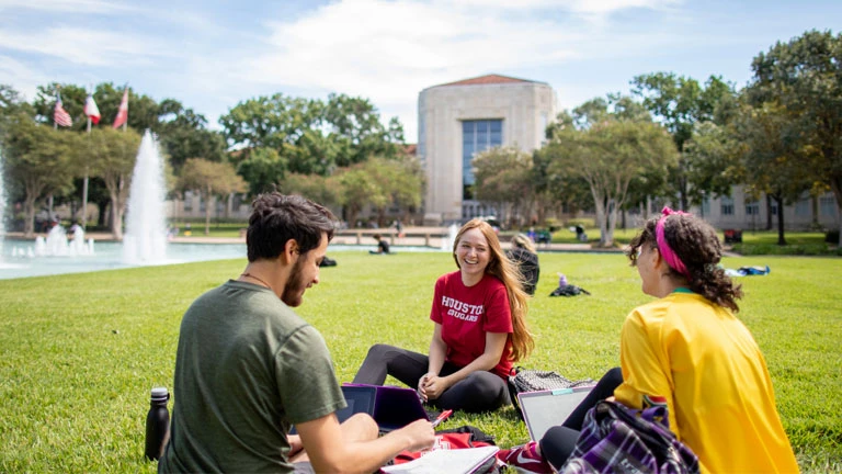 University of Houston institutional setting