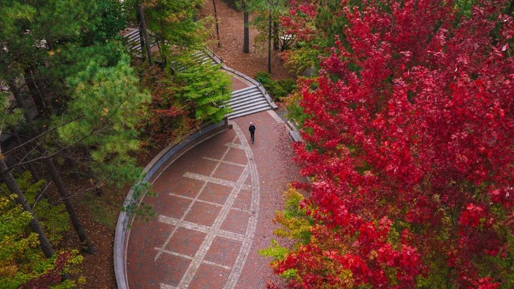 University of Richmond academic facilities