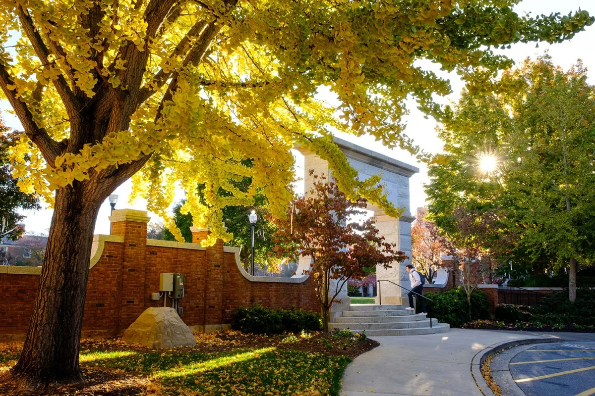 View of the Wake Forest University campus