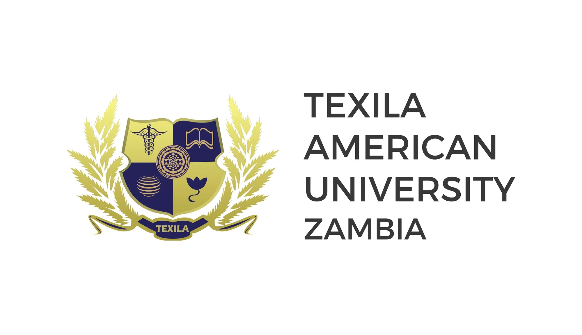 Texilla American University Logo